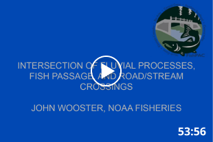 Intersection of Fluvial Processes, Fish Passage, and Road/Stream Crossings