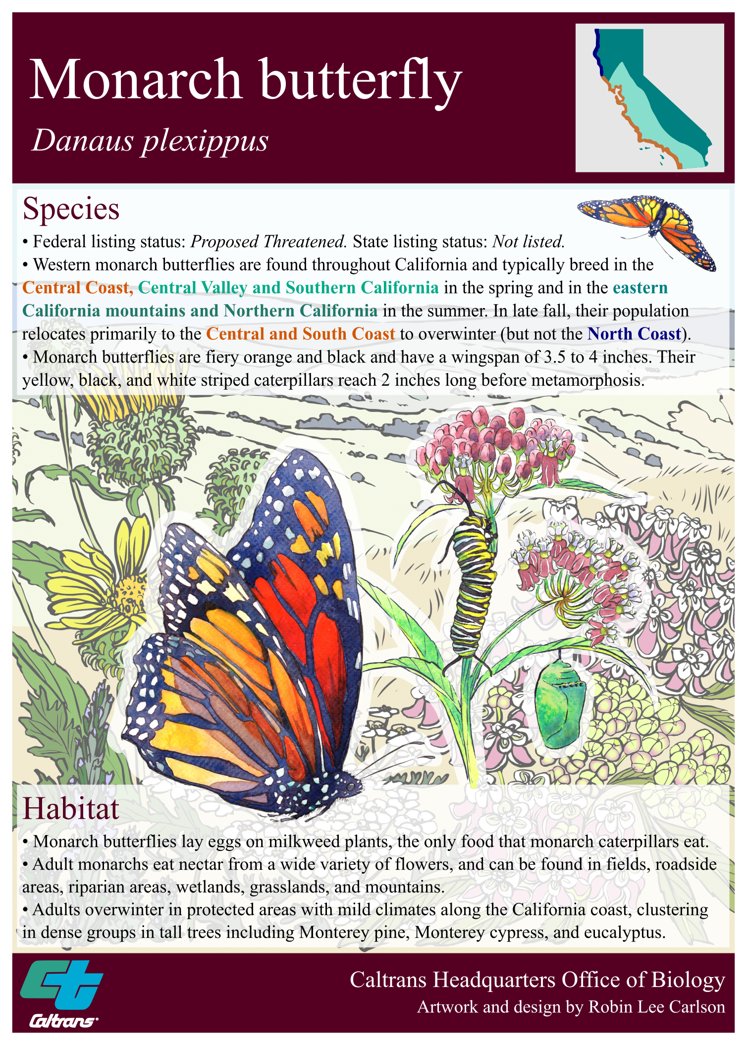 Monarch butterfly