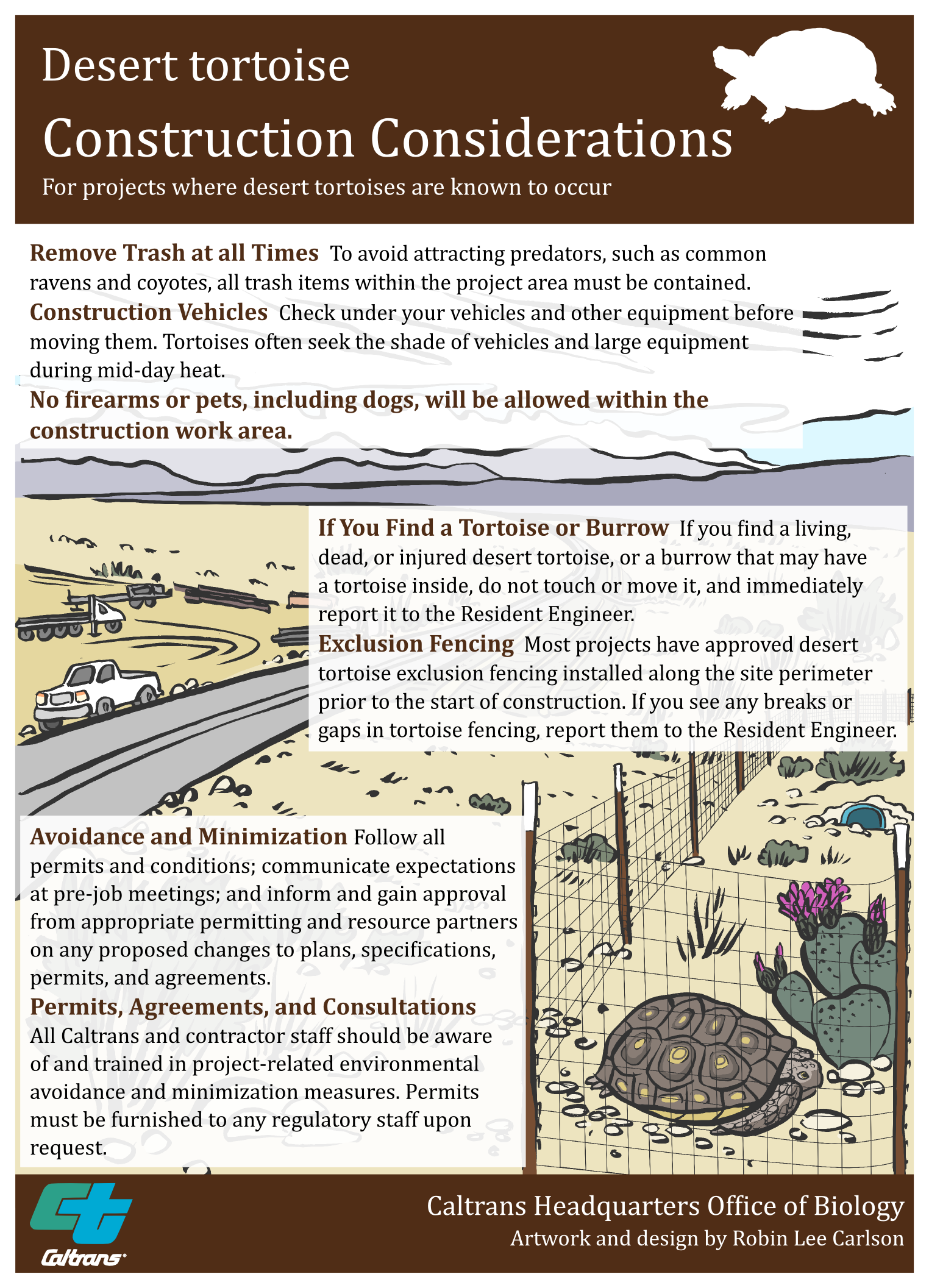 Desert Tortoise Construction Considerations poster