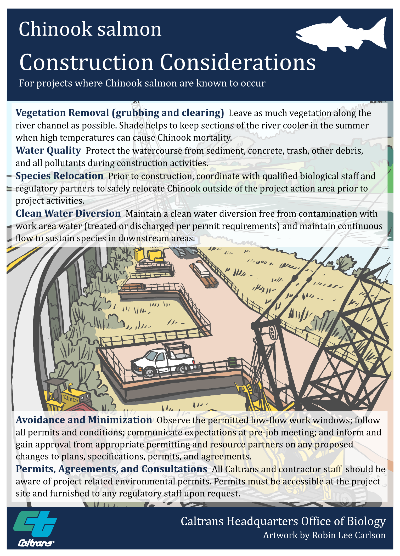 Chinook Salmon Construction Considerations Poster