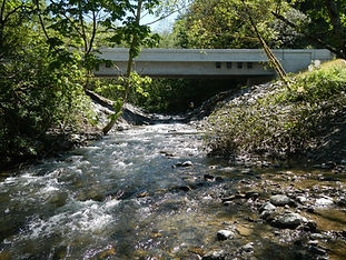 creek under bridge