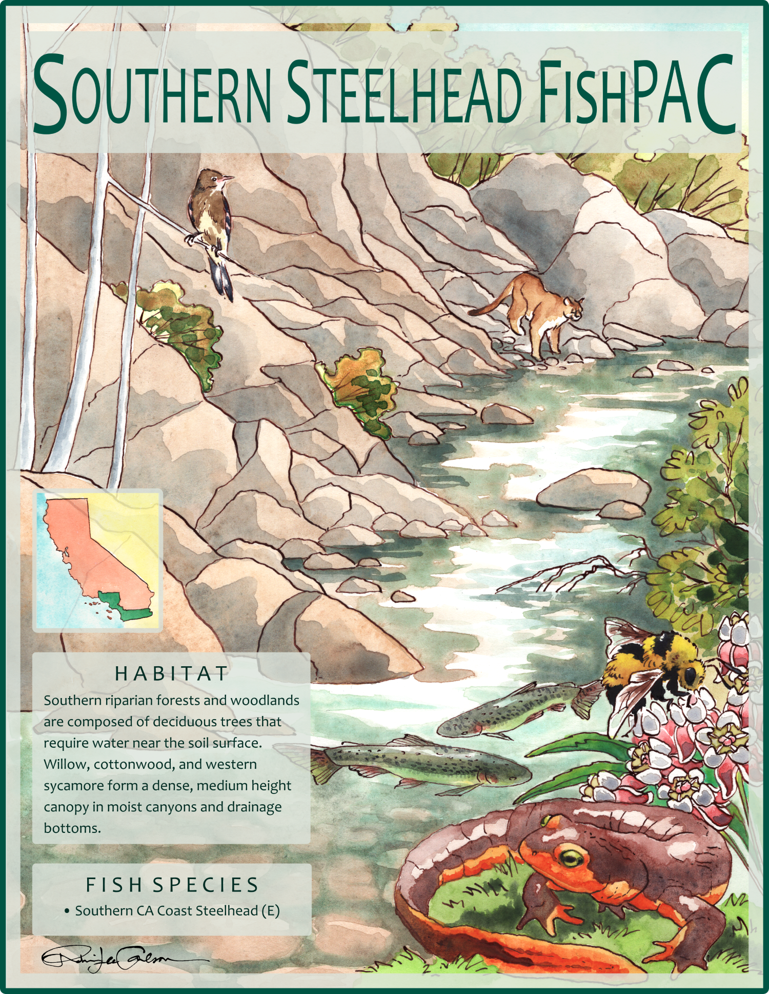 Southern Steelhead Poster